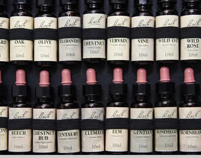 Medicina Holística