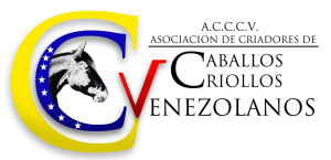 Logo ACCCV Boceto2 (2)