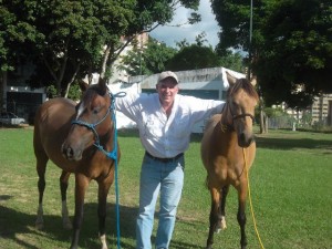 caballo+criollo+venezolano_06