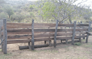 Manga de palos y tablas