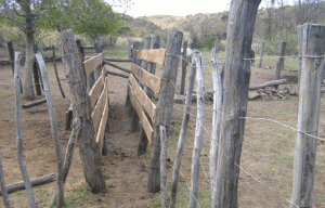 Manga anterior vista desde el interior y al fondo corral redondo hecho de palo y alambres dulces